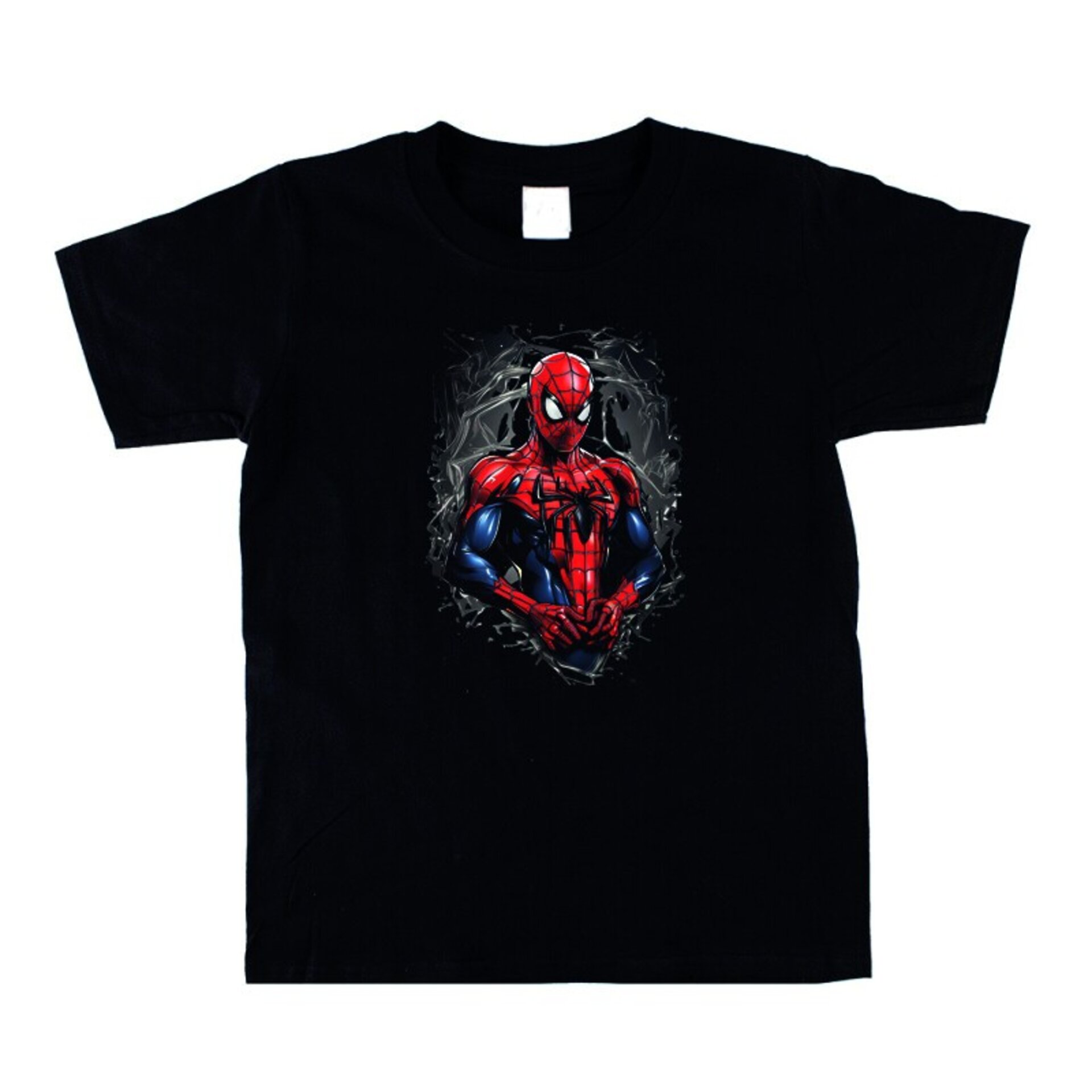 Camiseta Spiderman - 1